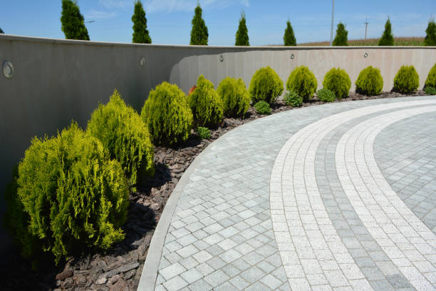 Best Driveway Paving Contractor  in Holts Summit, MO